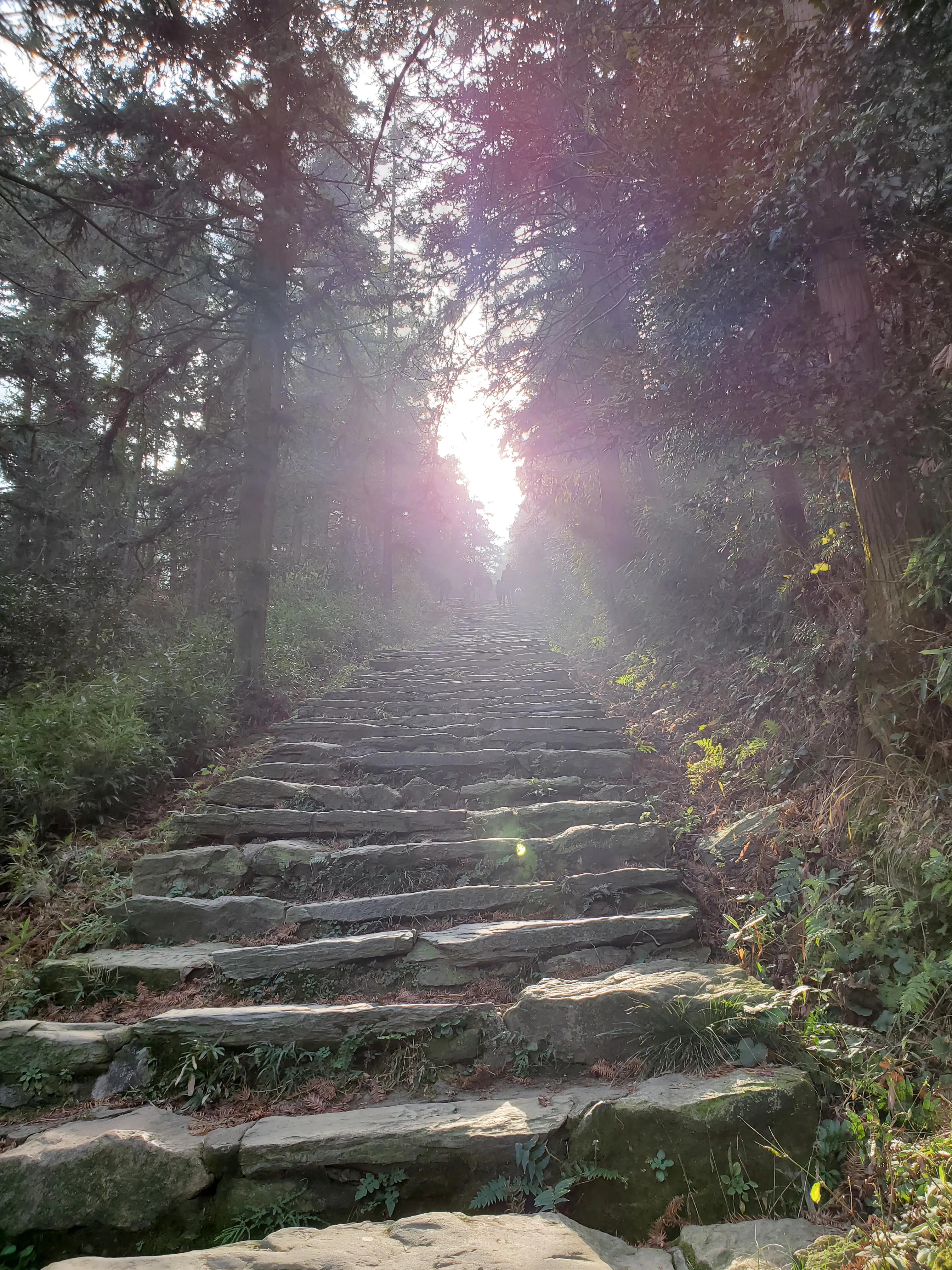 玩🎮学📖用🌏－－记第二次装机历程暨往昔回顾