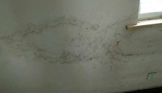 墙面返潮的原因和彻底解决方法,墙面返潮最好的办法