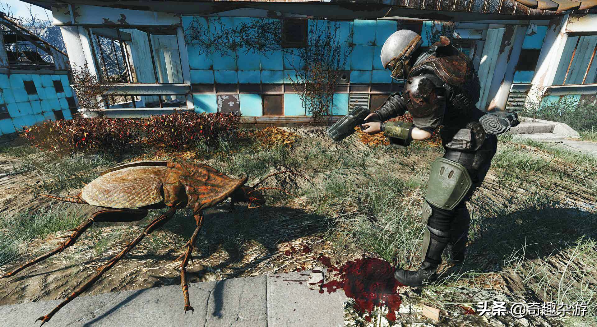 辐射4废土生存指南全收集,辐射4废土人