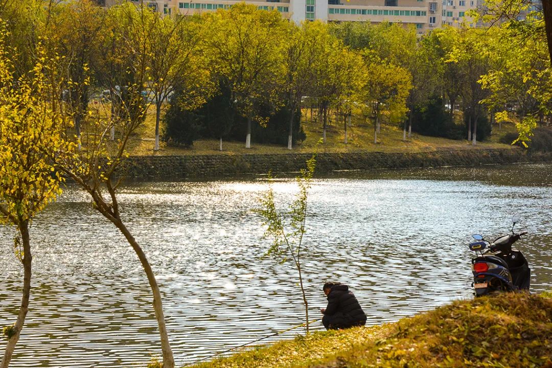 北京新开40个公园在哪里,北京十佳公园