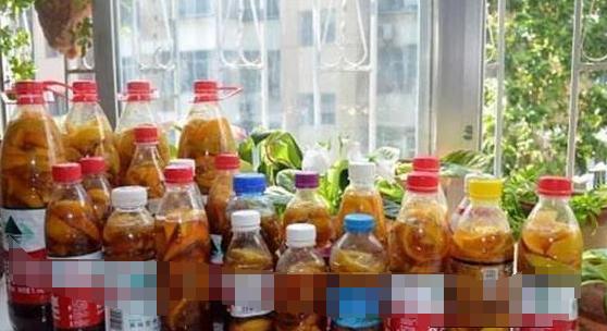 盆栽绿萝怎样才能长得茂盛,小盆栽绿萝怎么养才能更旺盛