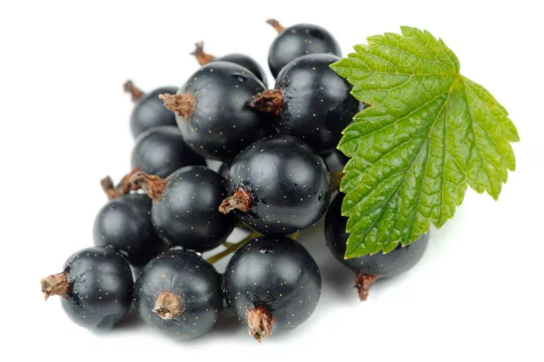 2019波尔多手册,中级应试指南课程讲解