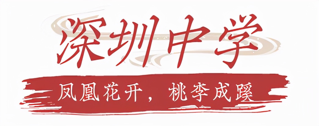 漫游东游西荡,漫游深圳城市