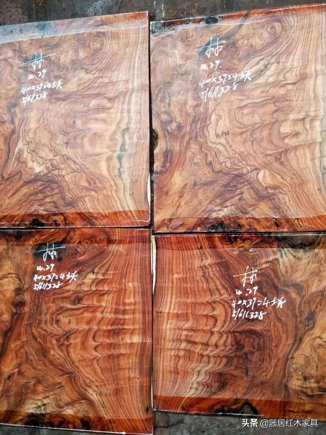 木中君子是什么木,木中君子黄杨彩绘