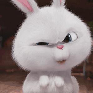 深圳去香港哪里买免税品,不用去香港也能在万宁买东西吗