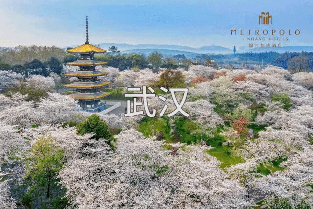 锦江都城经典酒店原南京酒店,锦江都城经典上海静安寺酒店星级