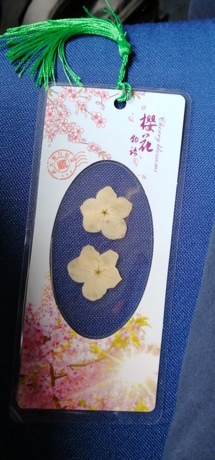 白衣执甲，英雄凯旋！第三批返浙医疗队439人胜利归来