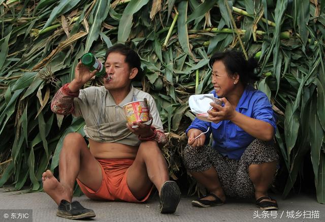 婚姻就像风景一样,婚姻就像玫瑰花