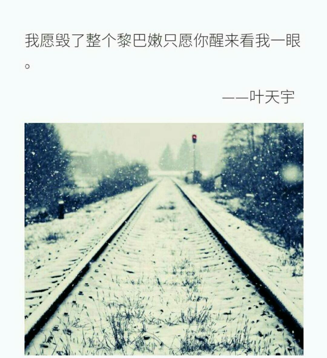 《亿万老婆买一送一》的系列文《总裁的替身前妻》，基因真强大！