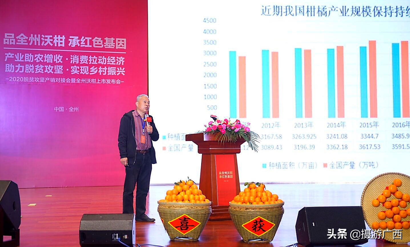 沃柑广西沃柑超甜,广西全州沃柑最新消息