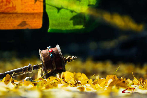 人生路上必背33首经典诗词,45首哲理诗词句句精辟饱含哲理