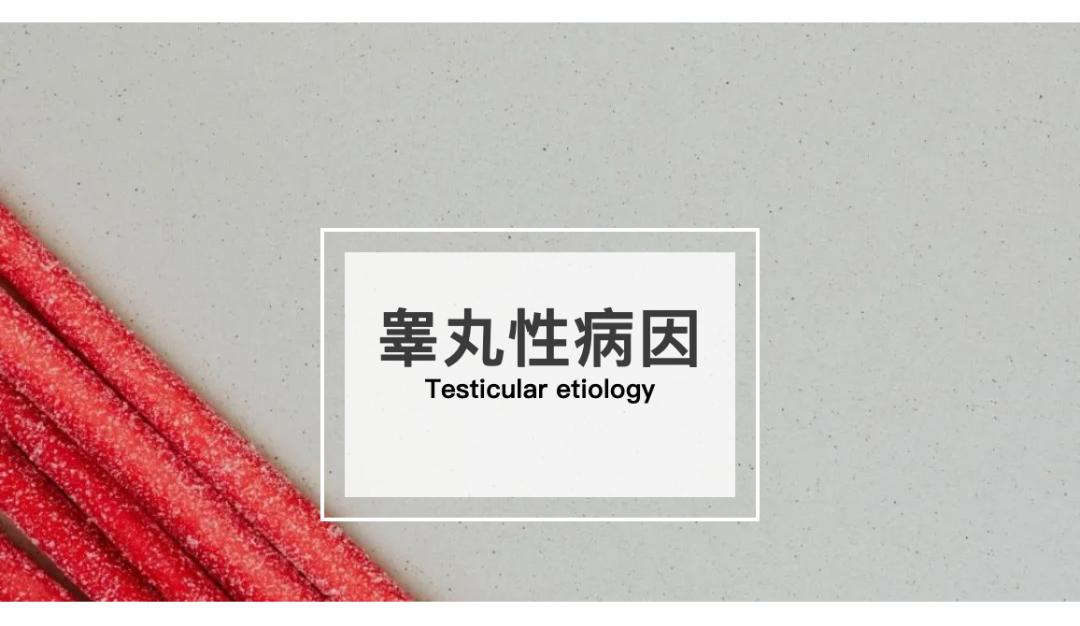 睾丸有病变怎么判断恶性和良性,如何判断睾丸发育不正常
