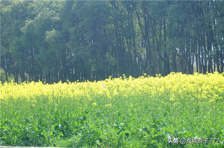 重游天一度假村,重游旧地去哪玩