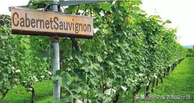 鲁家村田园综合体案例,10个日本田园综合体案例