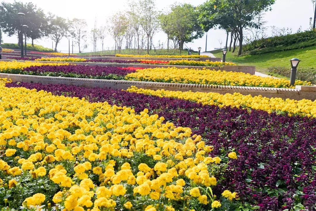 深圳十大一日游景点,深圳十大免费公园景点大全