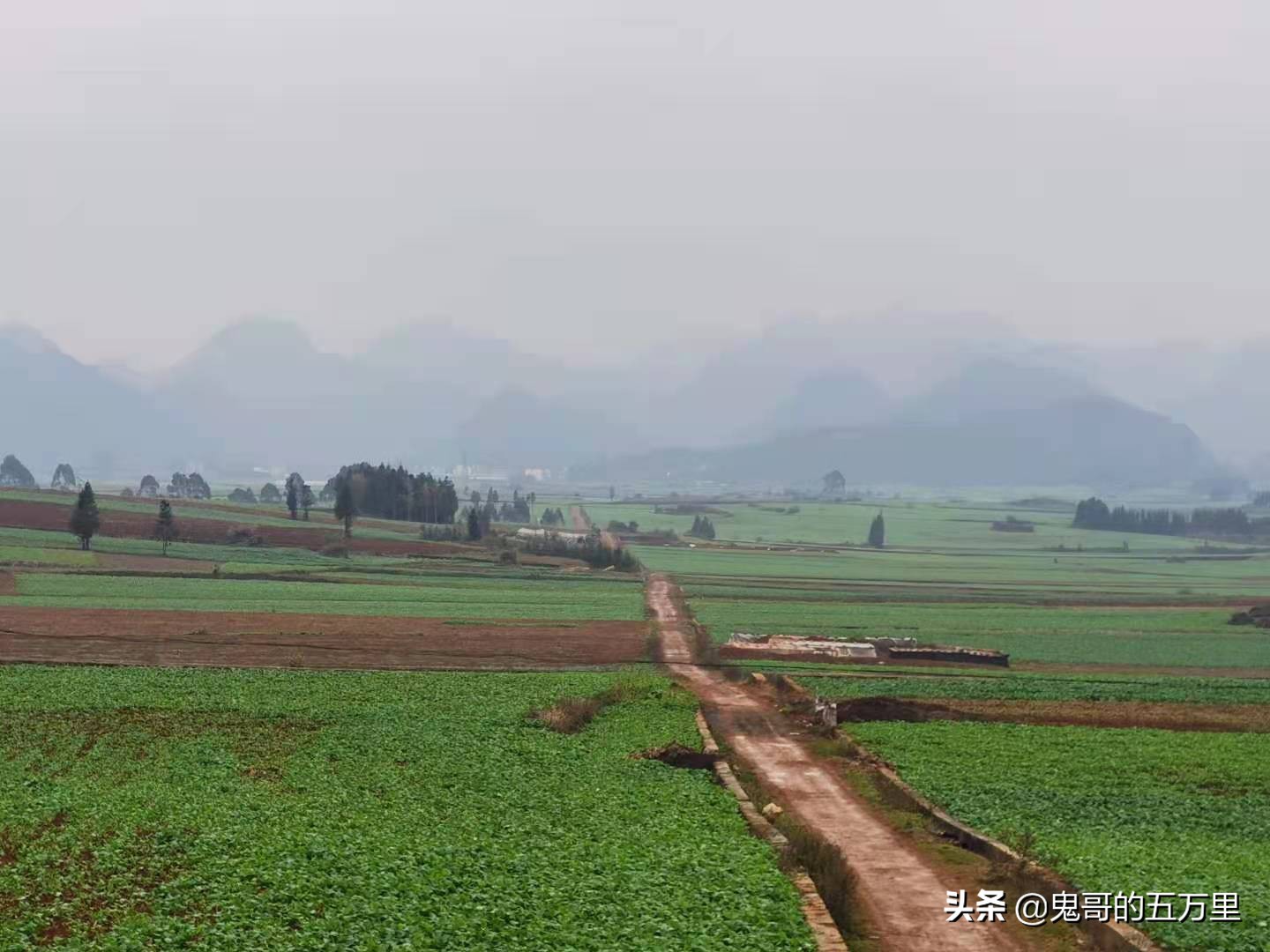 鬼哥的五万里D118骑记：云南，未来可期,泸西县-罗平县