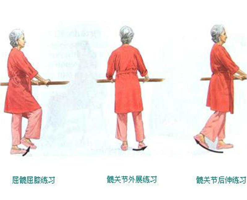 髋关节置换后多久能下床走路,髋关节置换后多久能下地负重