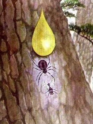 小学课本很难吗？是啊，不信你就来挑战试试看