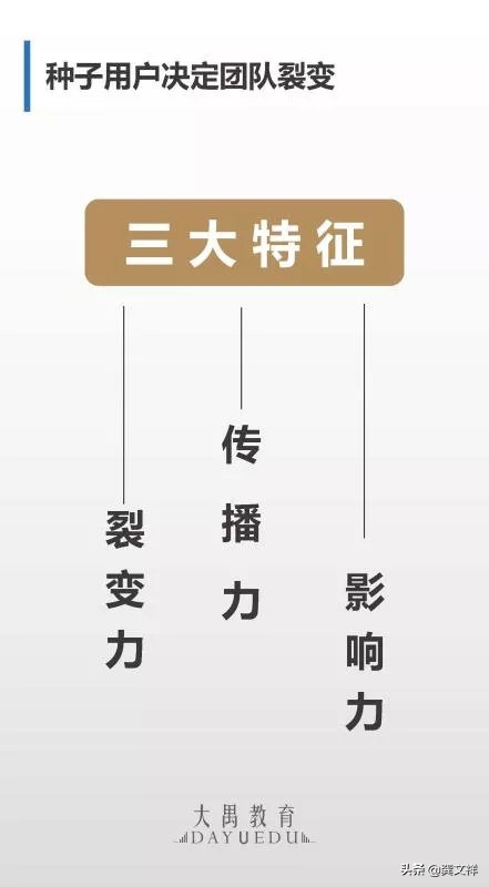 如何打造超强战斗力的营销团队,如何建立自己的运营体系