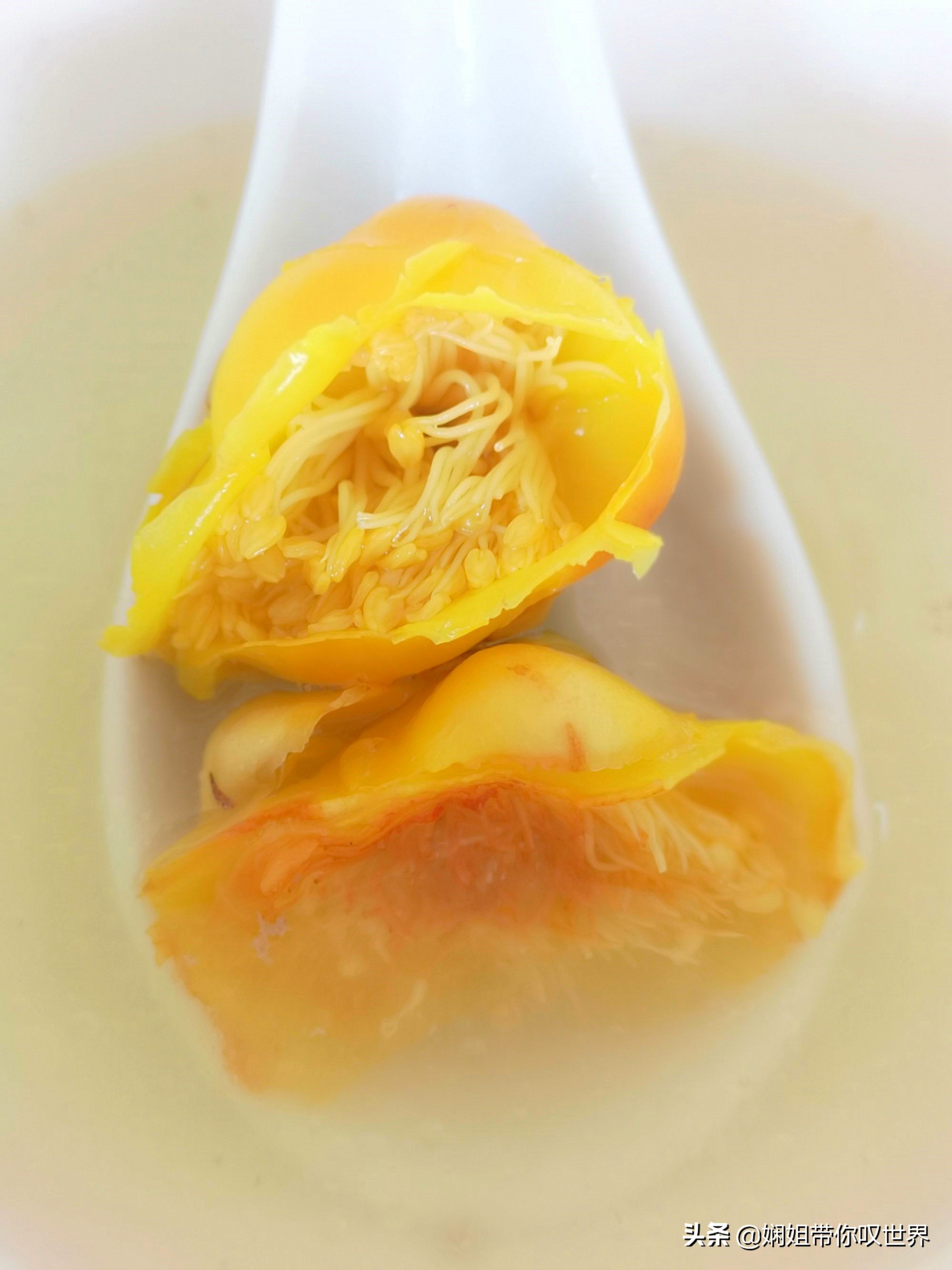 最美人间四月天赏读,最美人间四月天限时品鉴