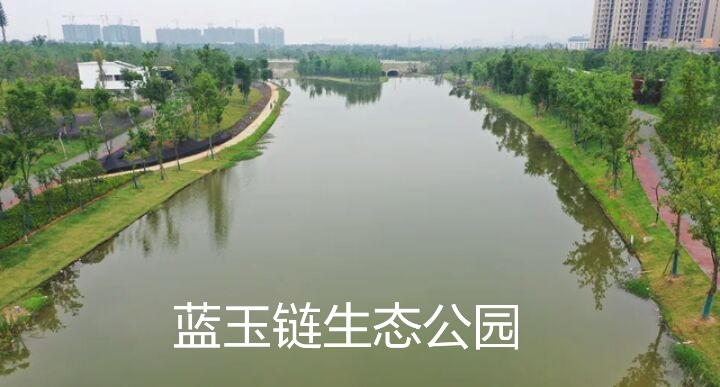 武汉阳逻发展如何,武汉阳逻老城区