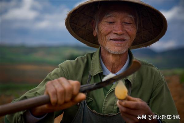 他山之石丨“拼”出新产业，小果子带来脱贫大希望，背后的故事都有啥