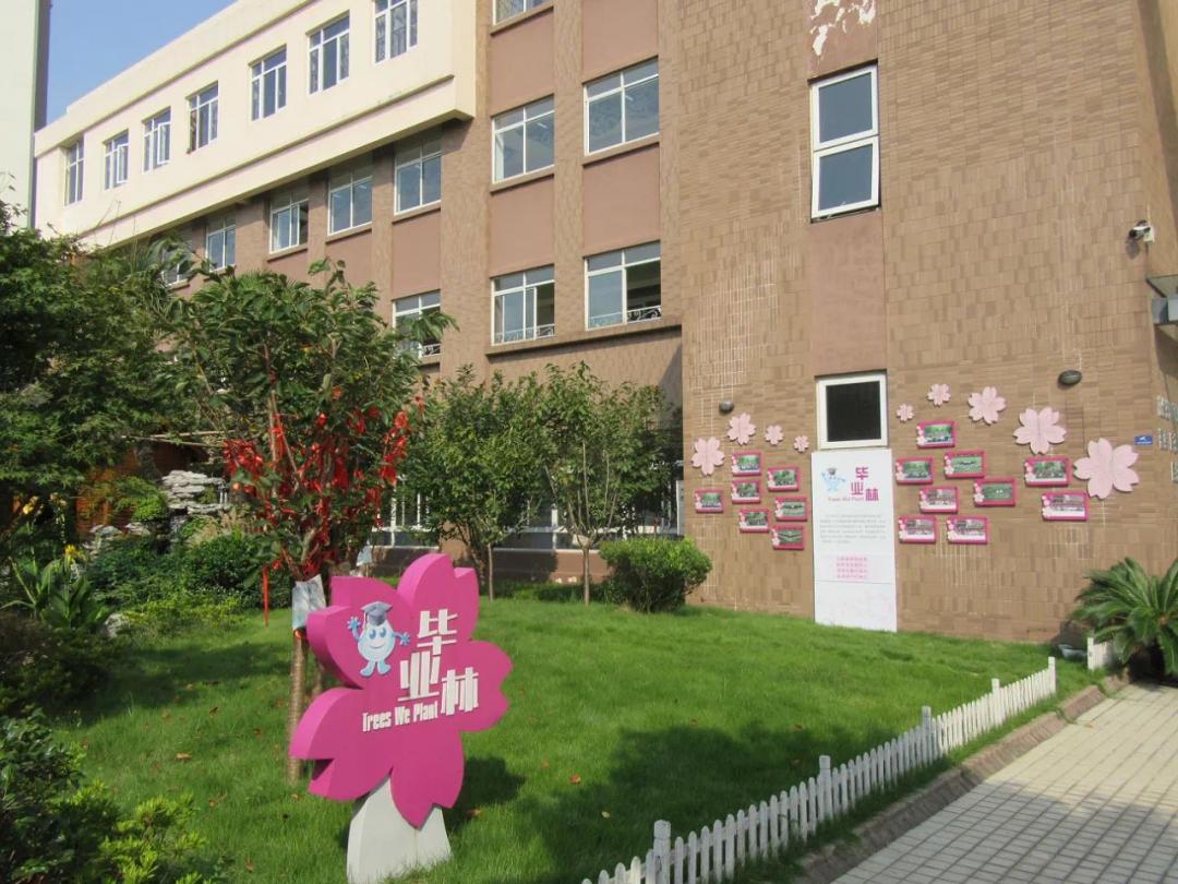 魔都新晋12所潜力小学汇总,上师大附属嘉定小学为嘉定唯一入选