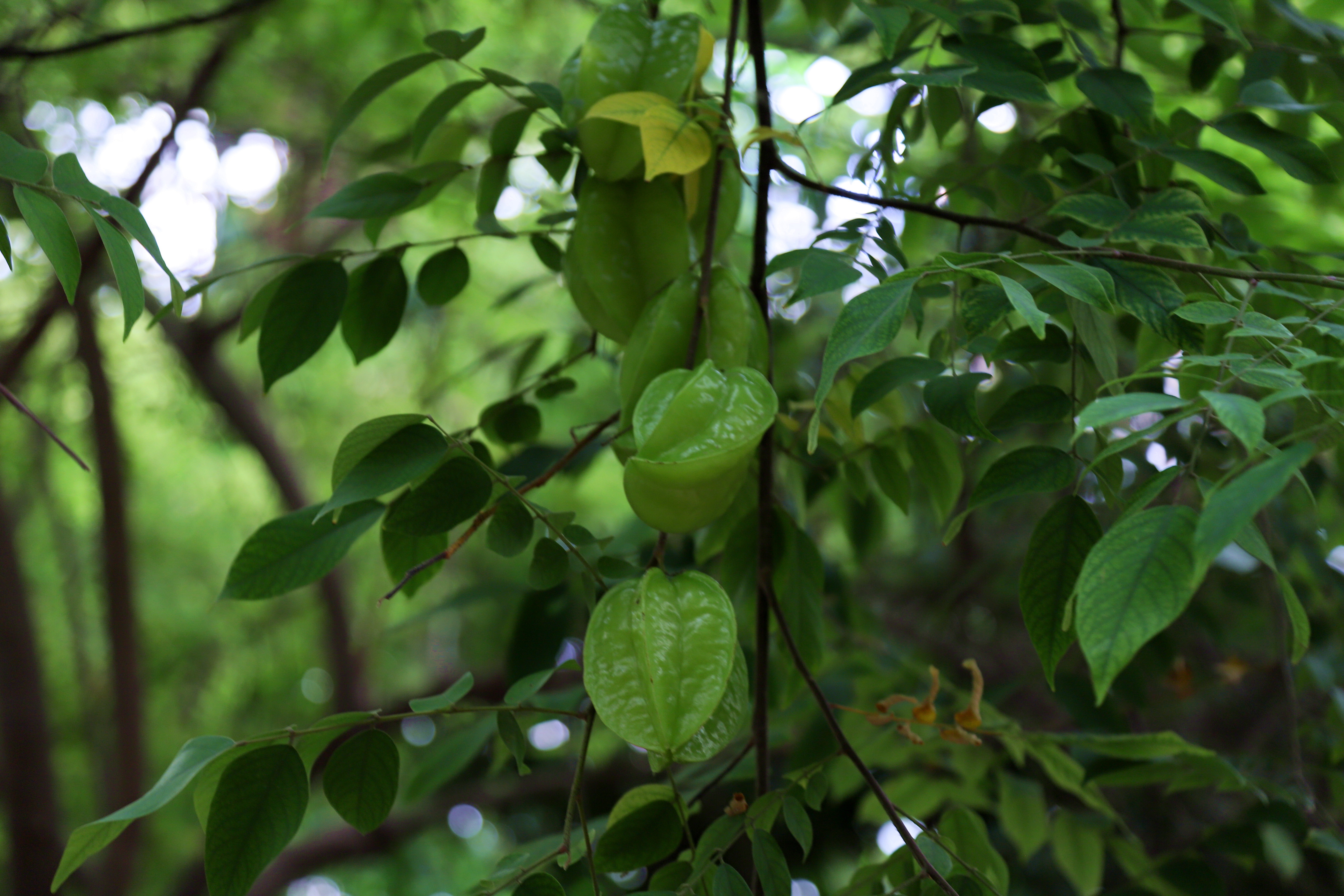 在心灵的栖息地遇见第五季