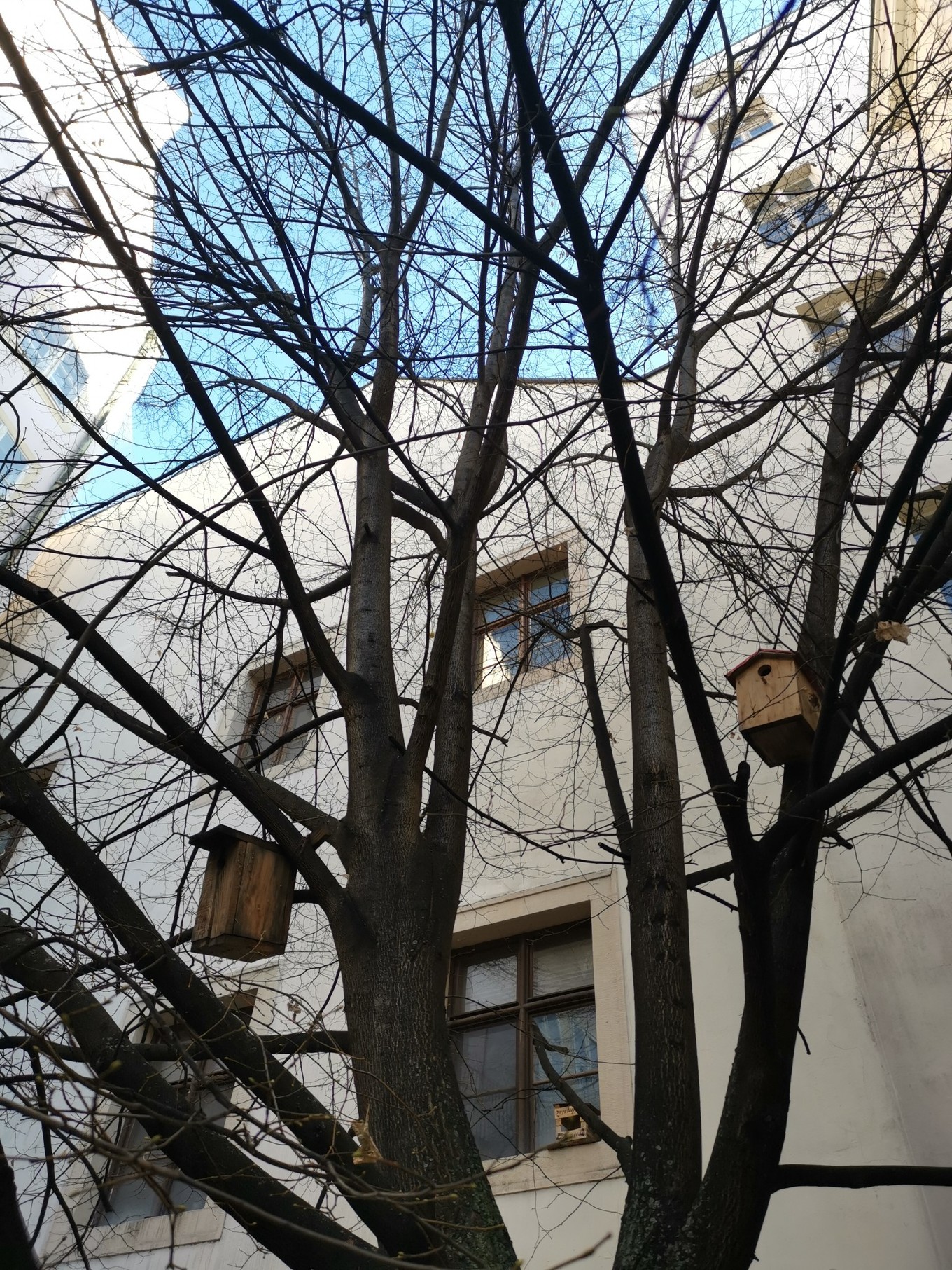 中欧旅游攻略多瑙河,中欧览秀城美食