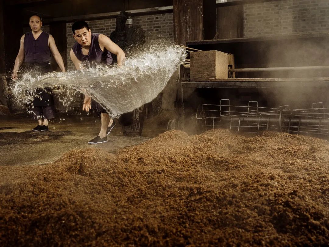 洋河酒哪些值得收藏,洋河酒20年