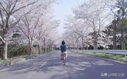 海街日记结尾镜头,海街日记的场景