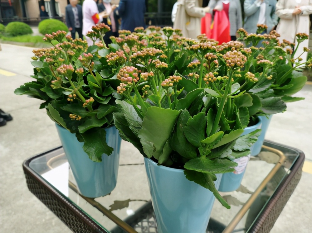 春风送暖爱心义卖,春风送暖爱心慈善公益活动