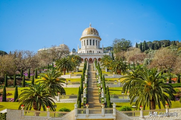 了解植物必看纪录片,植物科普纪录片推荐