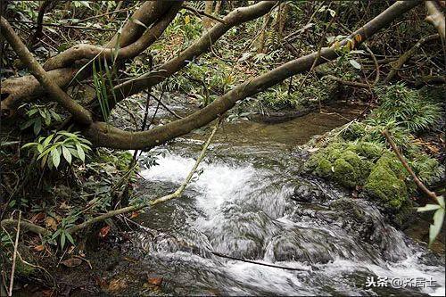 中国38处世界文化遗产全名单,中国的53个世界遗产大全