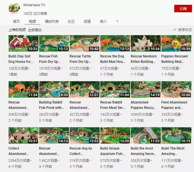 小哥哥徒手建房子,小伙为流浪狗打造温馨的城堡