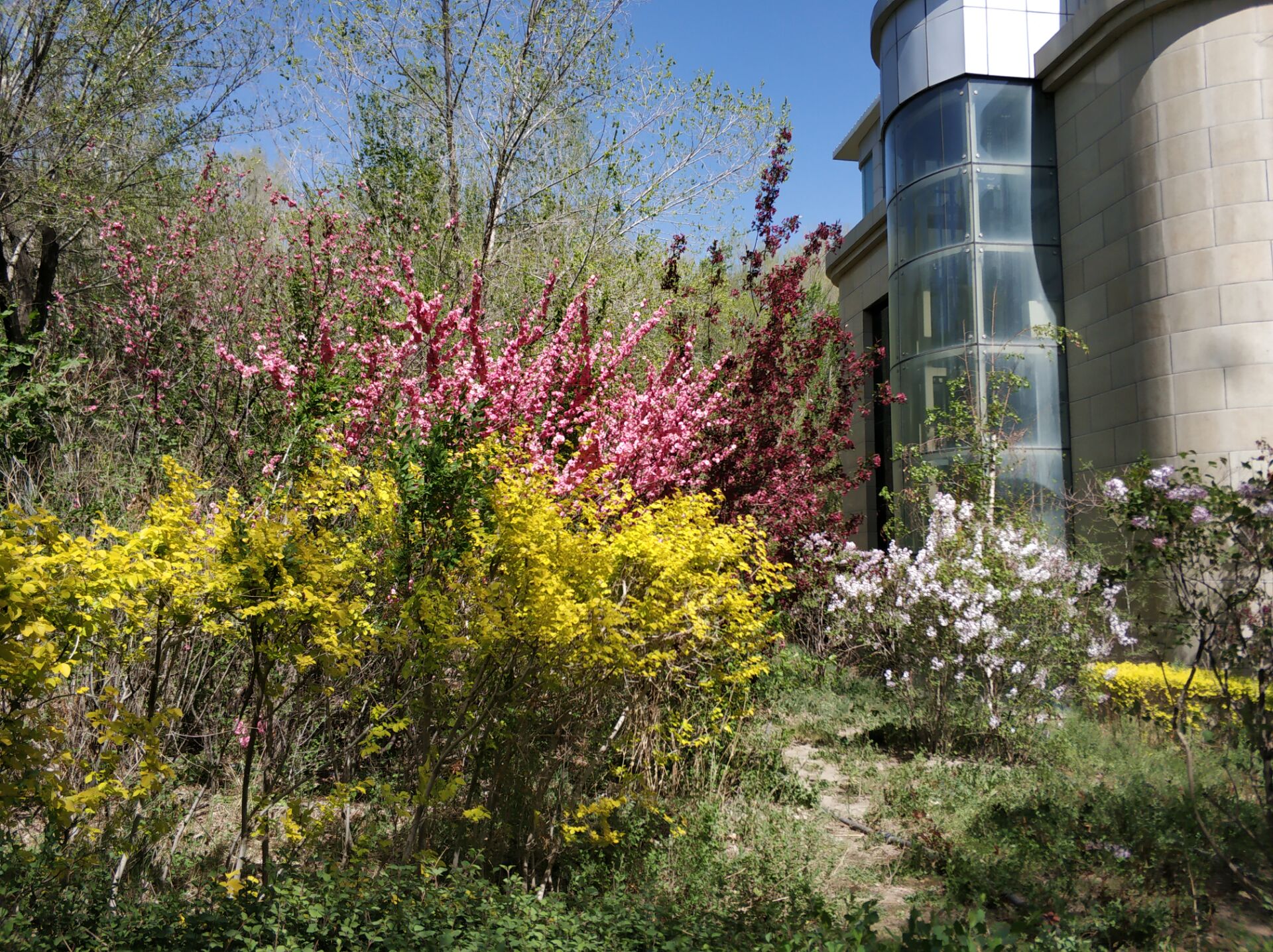 乌鲁木齐居然有这么漂亮的地方,乌鲁木齐周边森林公园在哪里