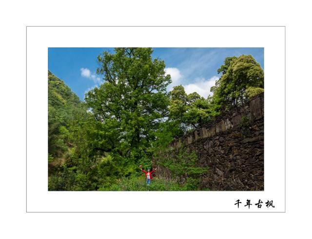 母亲河长江旅游,游黄河入海口的感受