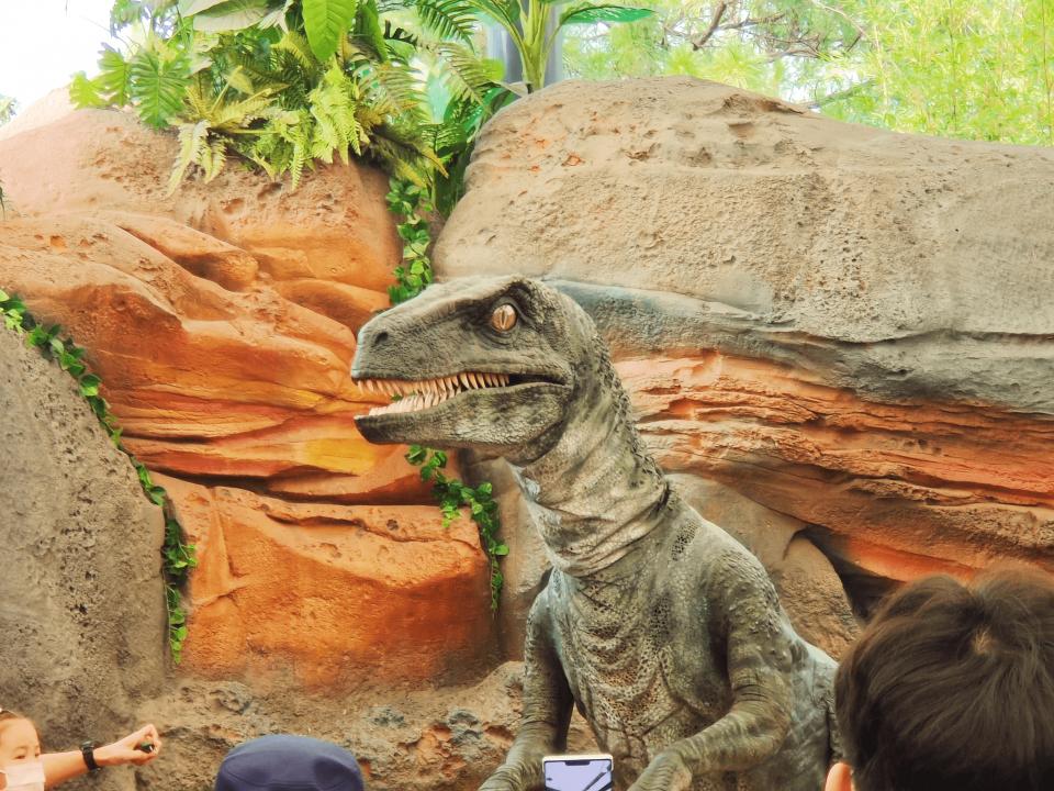 北京环球影城哈利波特必打卡点,北京环球影城打卡