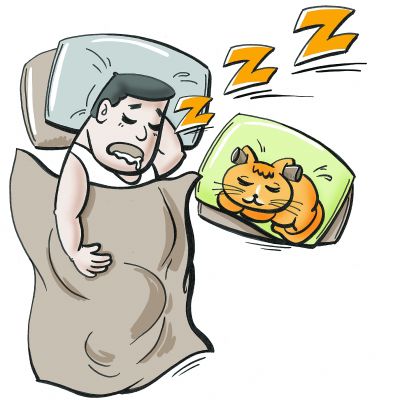 乳胶枕头对富贵包有好处吗,假的乳胶枕头对身体有什么坏处