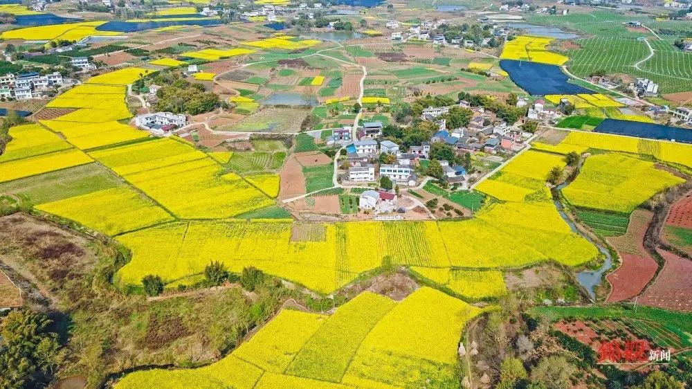 成都春游好去处周末 (成都周边周末春游推荐)