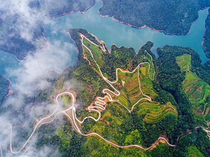 在山上捡的野山鸡,发现野生山鸡