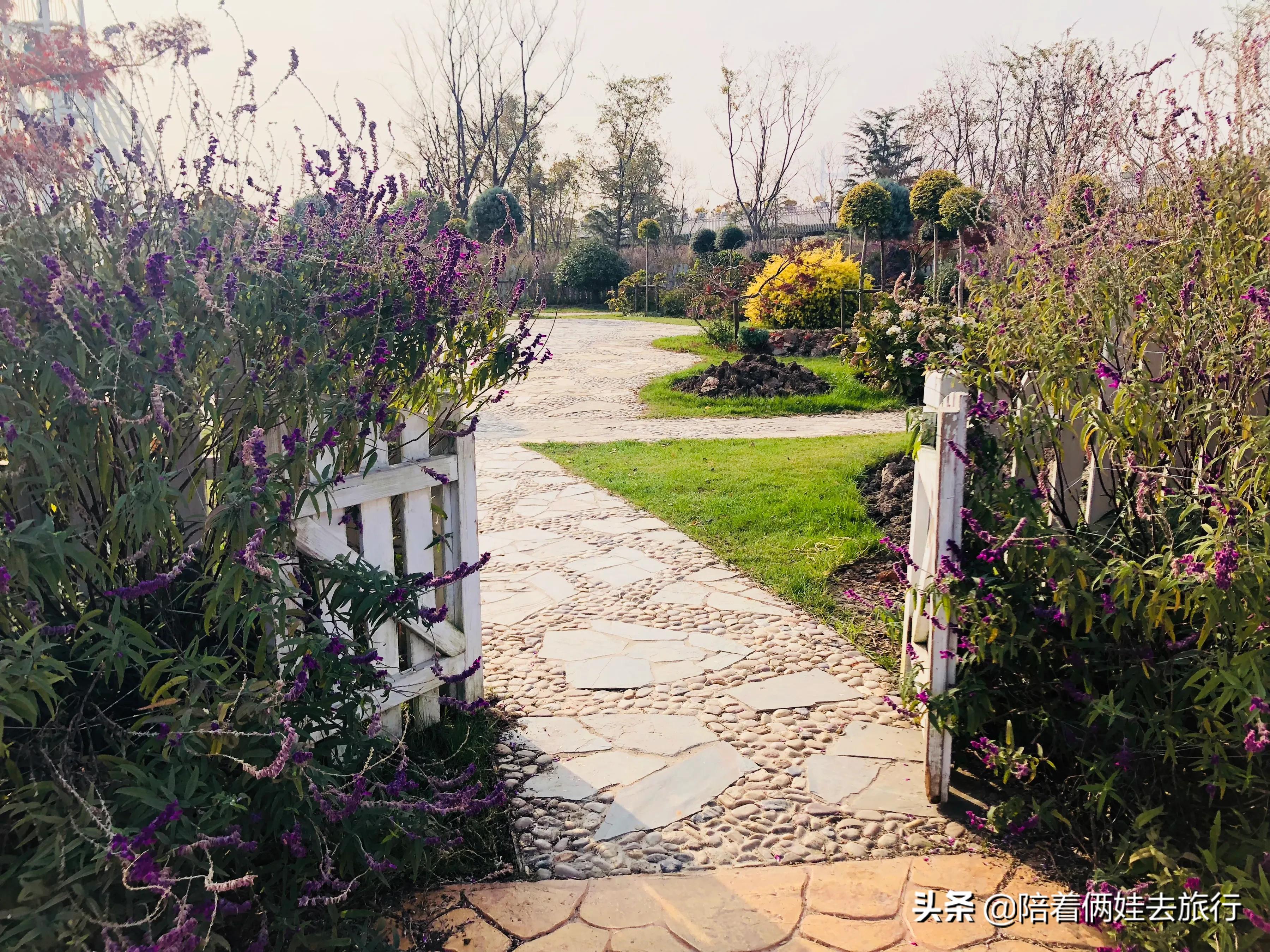 上海浦江郊野公园一日游攻略大全,上海浦江郊野公园奇迹花园地图