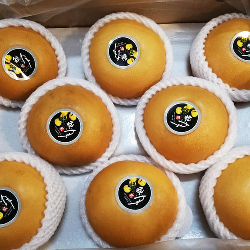 山东的水果特产,夏季山东地区可以吃的应季水果