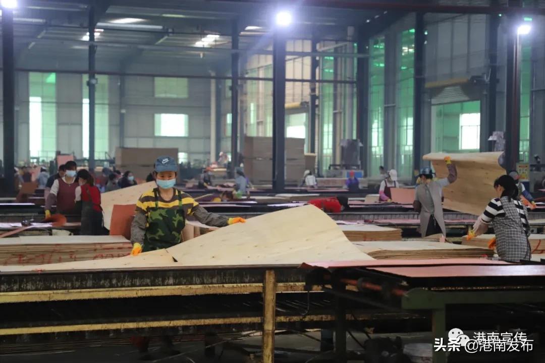 新年有“犇”劲!港南开启复工加速度