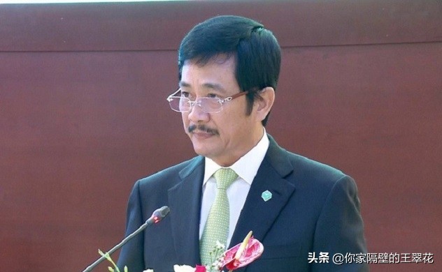 越南十大富豪籍贯,越南十大富豪华人占几位