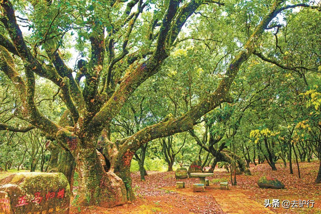 广东发展潜力最差的城市,广东不一样的地方