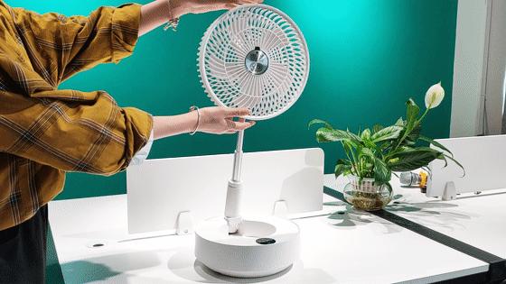 巴慕达风扇有什么特点呢,巴慕达风扇最新型号