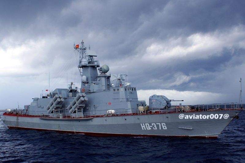 毒蜘蛛巨无霸,真正的毒蜘蛛