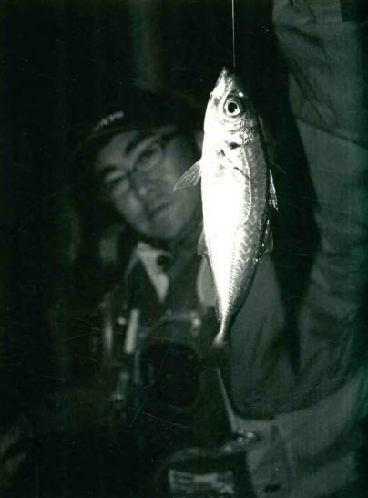 「日本专业矶钓书籍」竹荚鱼钓法，初学者最佳矶钓钓技