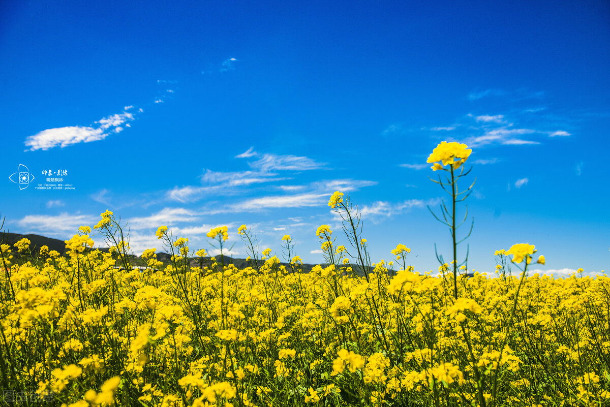 十本入坑网文,四本完结多年依旧无法超越的网文